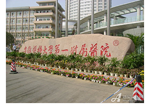 &#72;&#74;&#67;&#40644;&#37329;&#22478;